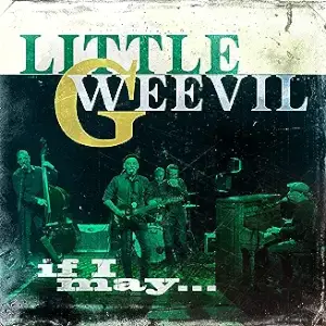 Little G Weevil